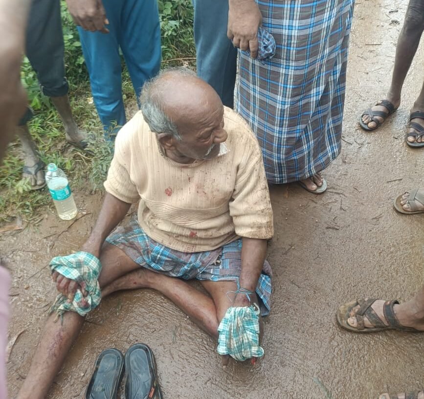 ಚಿಕ್ಕಮಗಳೂರು ಇಬ್ಬರ ಮೇಲೆ ಚಿರತೆ ದಾಳಿ…!