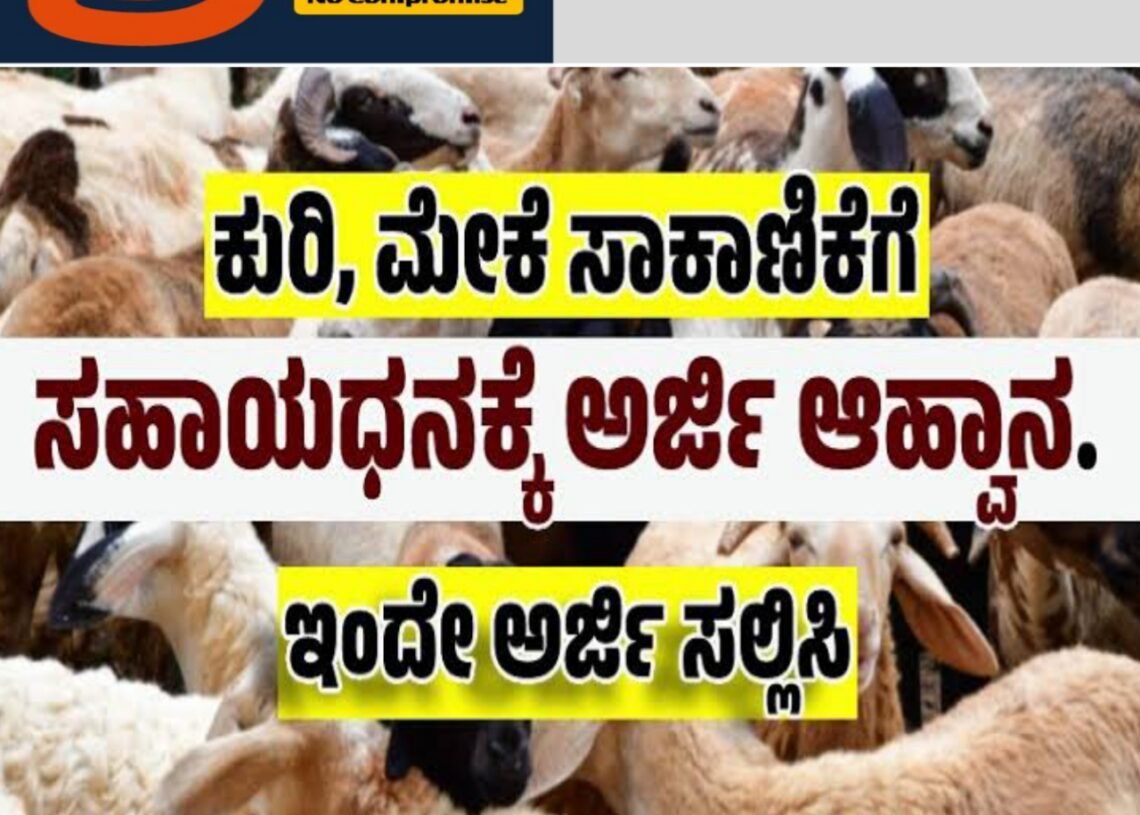 ಕುರಿ-ಮೇಕೆ ಘಟಕ ಸ್ಥಾಪನೆಗೆ ಸಹಾಯಧನ; ಅರ್ಜಿ ಆಹ್ವಾನ