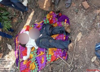 ಚಿಕ್ಕಮಗಳೂರು: ಕಾಡಾನೆ ದಾಳಿಗೆ ಹಾವೇರಿ ಮೂಲದ ಕಾರ್ಮಿಕ ಬಲಿ