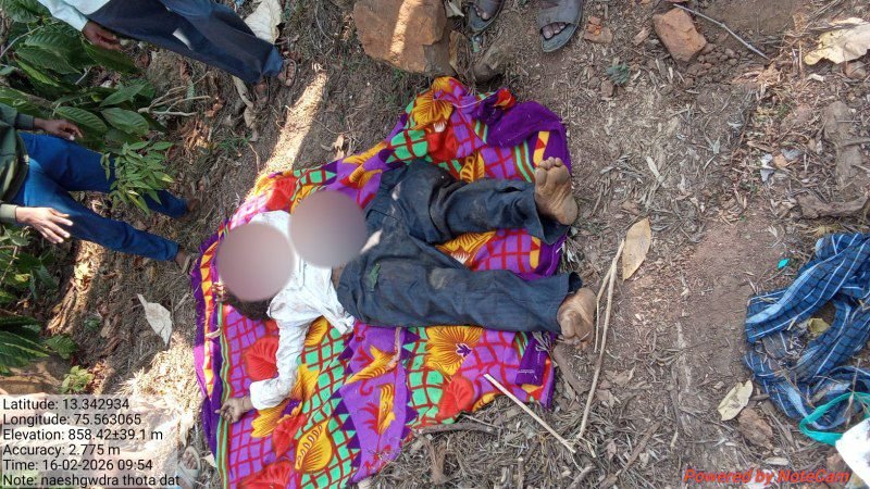 ಚಿಕ್ಕಮಗಳೂರು: ಕಾಡಾನೆ ದಾಳಿಗೆ ಹಾವೇರಿ ಮೂಲದ ಕಾರ್ಮಿಕ ಬಲಿ