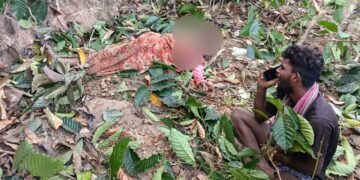 ಚಿಕ್ಕಮಗಳೂರಿನಲ್ಲಿ ಕಾಡಾನೆ ಅಟ್ಟಹಾಸ: ವಾರದಲ್ಲಿ ಎರಡನೇ ಬಲಿ, ಅರಣ್ಯ ಇಲಾಖೆ ವಿರುದ್ಧ ಜನರ ಆಕ್ರೋಶ