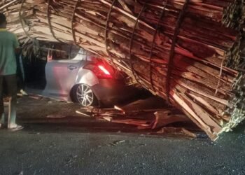 ಸಾವು ಗೆದ್ದ ಸಂಸಾರ: ಕಾರಿನ ಮೇಲೆ ಉರುಳಿದ ಕಟ್ಟಿಗೆ ಲಾರಿ ನಜ್ಜುಗುಜ್ಜಾದ ಕಾರು: ದಂಪತಿ, ಮಗು ಪವಾಡಸದೃಶ ಪಾರು!