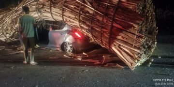 ಸಾವು ಗೆದ್ದ ಸಂಸಾರ: ಕಾರಿನ ಮೇಲೆ ಉರುಳಿದ ಕಟ್ಟಿಗೆ ಲಾರಿ ನಜ್ಜುಗುಜ್ಜಾದ ಕಾರು: ದಂಪತಿ, ಮಗು ಪವಾಡಸದೃಶ ಪಾರು!